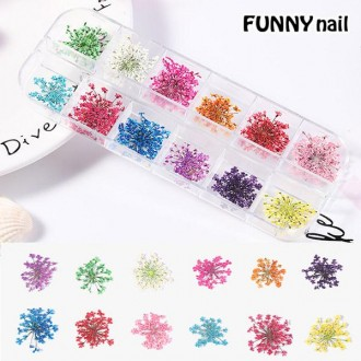 Bộ nail hoa tươi 12 món nail hoa khô hoa khô