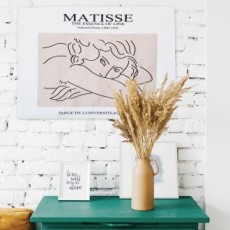 Poster vải khổ lớn Matisse Line Girl S