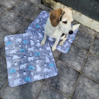 Dog Ice Cool Mat Cool Cushion Ice Pad