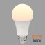 Bóng đèn LED loại 1 bóng 10.5W