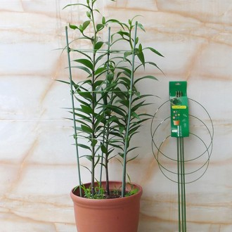 Giá đỡ cây tròn 45cm