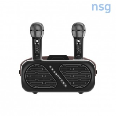 Bộ khuếch đại micro karaoke gia đình Bluetooth không dây kép ST-DM110