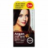 Thuốc Nhuộm Tóc Prorance Argan Easy Hair (5 Phần) - Nâu Đậm