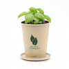 Người Bạn Đồng Hành Chậu Cây Trồng Bộ Eco Cup Vườn Trồng Hoa Húng Quế Ngọt Cà Chua Anh Đào Nhựa Thơm