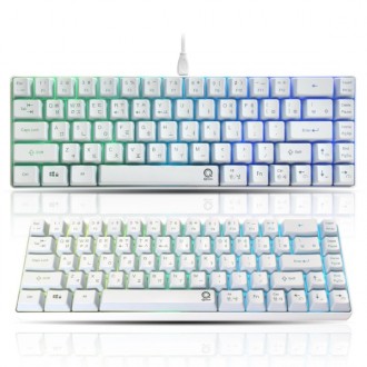 Bàn phím mini Tenkeyless LED QSENN QSENN SEM-DT65T