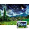 Bộ xếp hình 4000 mảnh Van Gogh Starry Night 2 Puzzle Life PL4201