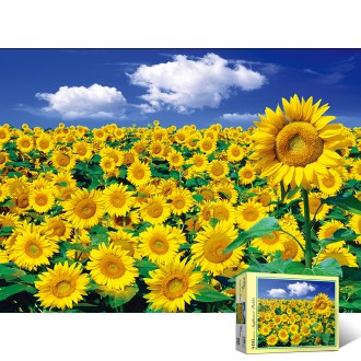 Bộ xếp hình 500 mảnh Sunflower Field 3 Puzzle Life PL868