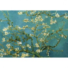 500 Miếng Xếp Hình Hạnh Nhân Của Van Gogh Nhánh Cây Tranh Nổi Tiếng Xếp Hình Cuộc Sống PL613