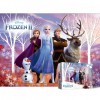 Bộ xếp hình 300 mảnh Disney Frozen 2 mảnh lớn PL306D