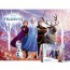 Bộ xếp hình 300 mảnh Disney Frozen 2 mảnh lớn PL306D