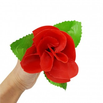 Sự kiện cầu hôn hoa hồng xuất hiện (Appering Rose) Sự kiện cầu hôn ma thuật hoa hồng lãng mạn