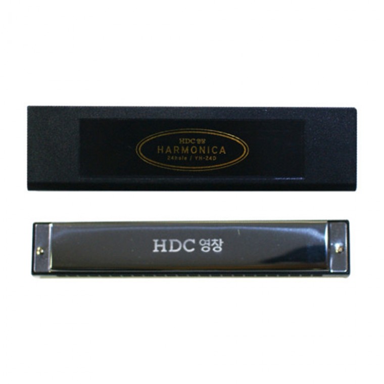 Bộ dụng cụ âm nhạc màu bạc YH-24D với hộp đựng kèn Harmonica Yeongchang