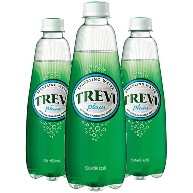 Lotte Trevi Plain 500ml x 24PET