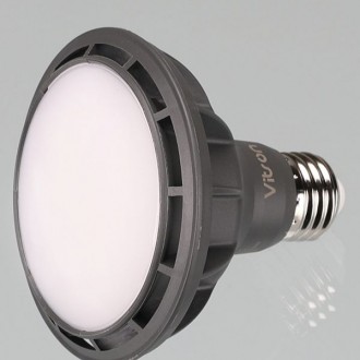 Bóng đèn khuếch tán PAR30 LED W màu đen 15W