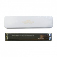 Hộp kèn harmonica Youngchang đi kèm bộ nhạc cụ màu bạc YH-24M