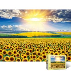 Bộ 500 Mảnh Ghép Sunflower Field 5 Puzzle Life PL874