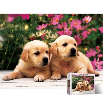 Bộ xếp hình 150 mảnh Golden Retriever Puzzle Life PL150-44