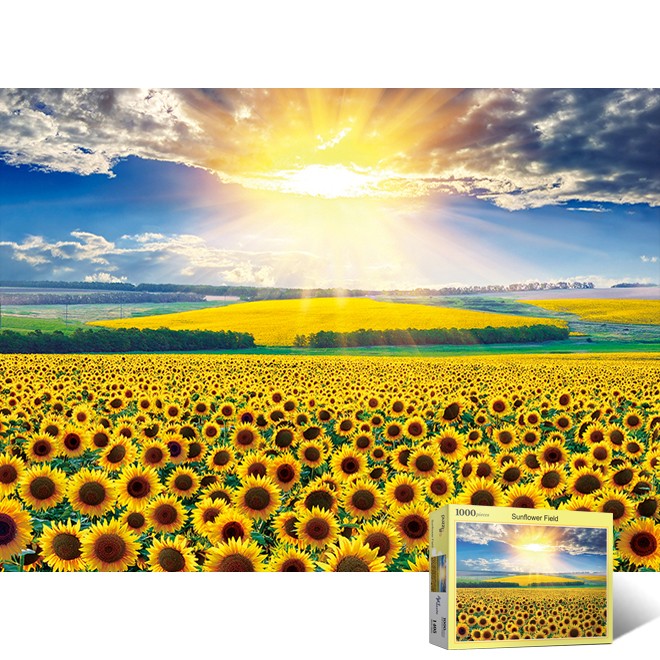 1000 Mảnh Ghép Sunflower Field 5 Puzzle Life PL1405