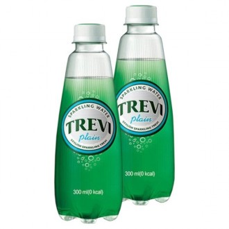 Lotte Trevi Plain 300ml x 20PET