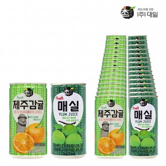 Daeil Chammal Jeju Quýt + Mận Hỗn Hợp 175ml