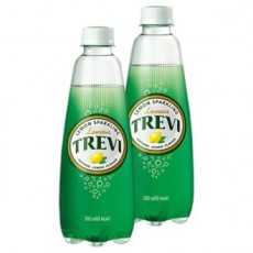 Nước chanh Lotte Trevi 300ml x 20PET