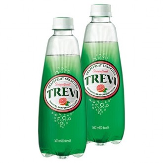 Bưởi Lotte Trevi 300ml x 20PET