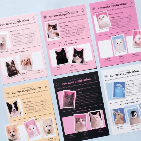 Gói nhãn dán Dakku Cat Dog Sticker Trang trí Poka Polkku