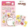 Thẻ Daewon Kids Molang One