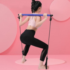 Cây gậy thể hình Darm Well Balance / Cây gậy tập gym Pilates Yoga