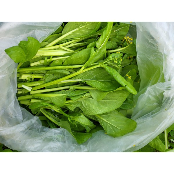 Cải ngồng 1kg