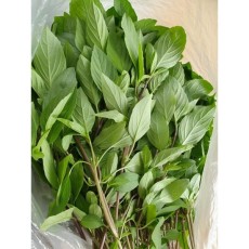 Hulapa (húng quế) /Húng quế Thái 500g/Asian Farm Sohee Song