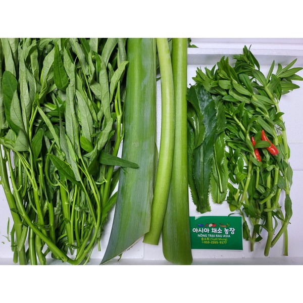 Canh chua set 500g/Asian farm Sohee Song