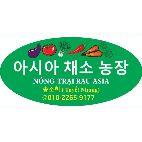 Cây giống rau Việt Nam/ Cây giống Houttuynia cordata/ cây diệp ca /Asia Farm Sohee Song