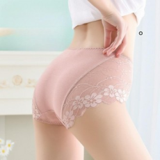 Daedong Thương Mại Nữ Size Lớn Trung Tây Hoa Hồng Vuông Ren Nudie Không Đường Hàng Ngày Quần Lót Pt070