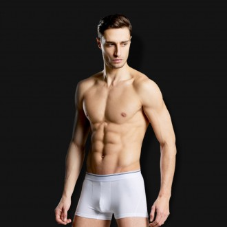 Quần lót nam Boxer Vẽ Tóm tắt Cotton Tóm tắt Modal Trunks