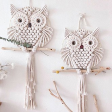 Owl Making Macrame Kit Trang trí tường nội thất