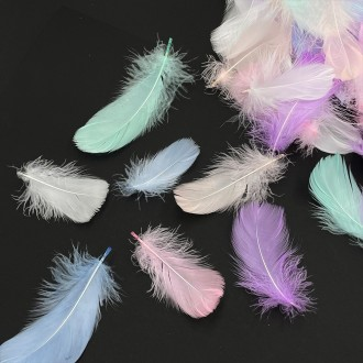 Bộ trang trí lông ngỗng màu pastel Dreamcatcher 100 món