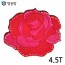 Yeonggongbang Rose 4.5T (WA-512) (10 cái) Lỗ kết nối (không có) (nghệ thuật gỗ để trải nghiệm)