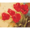 Living Duo DIY Easy Bộ tranh sơn dầu nổi tiếng A-339 Hoa Tulip đỏ cỡ trung 40x50