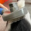 Dog Cat One Touch Slicker Brush màu xanh