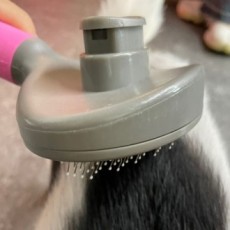 Dog Cat One Touch Slicker Brush màu hồng