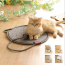 Mat Cat Toy Dragonfly Cat Pad Cào