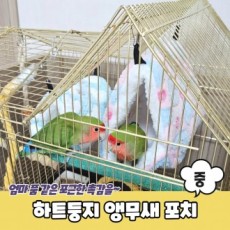 Heart Nest Parrot Hiên Vẹt Giường Vẹt Tổ Hamster Nơi ẩn náu Hiên Vẹt Hiên Nhà