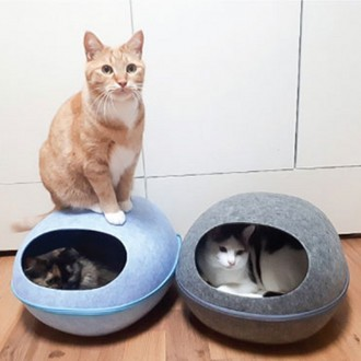 Cat Egg Sumsum House Không gian vui chơi Khu nghỉ ngơi Chữa bệnh