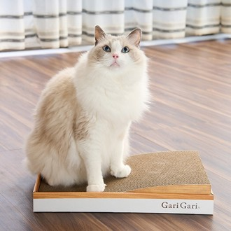 Nơi - Slope Cat Scratcher Chăm sóc móng vuốt Chữa bệnh