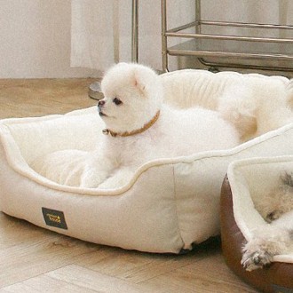 Choco Pet House Dog Cushion Royal Square Cushion 2.0 Loại Thường (Ngà)