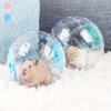 Đồ chơi bóng tập thể dục Hamster Bóng tập thể dục trong suốt