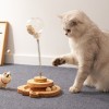 Với thú cưng Roly Poly Cat Toy Toy Ball Track Ball Snack Food Swing Wood Wood Apple Type