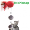 Life N cat yoyo chơi đồ chơi mèo chuyển động quả bóng yoyo