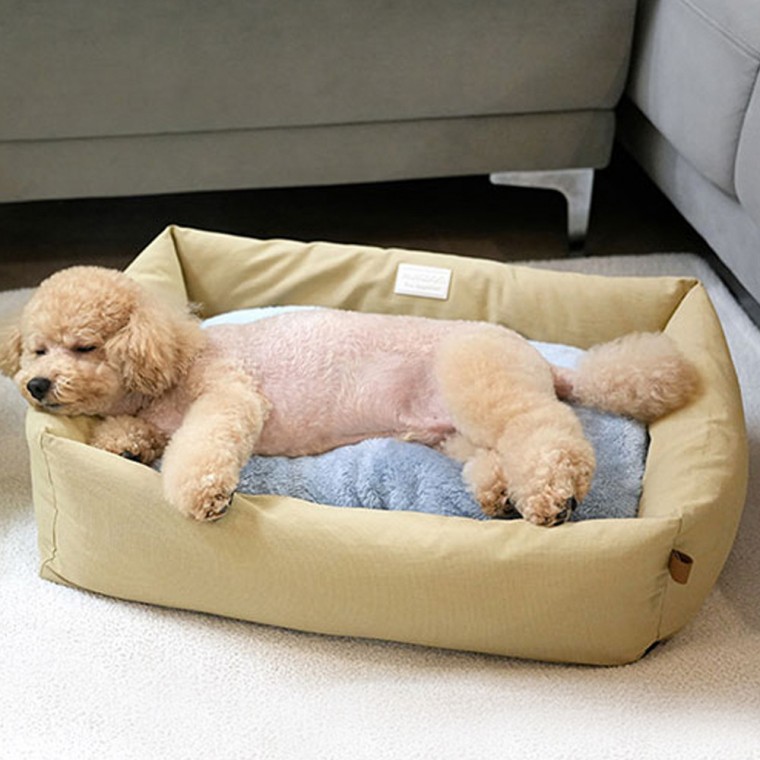 Giường Paris Dog Kang Easy Bed Dear My Bed (Màu be)